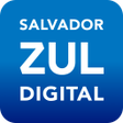 程序图标：Zona Azul Digital Salvado…