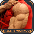 プログラムのアイコン：Triceps Workout Exercises
