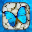 プログラムのアイコン：Butterfly Wallpaper Live …