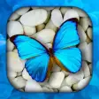 Butterfly Wallpaper Live HD3D