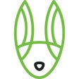 Programın simgesi: RABBITCARDS