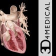 ไอคอนของโปรแกรม: Heart Pro III - iPhone