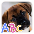 プログラムのアイコン：Baby Animals Puzzle
