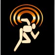 Иконка программы: NetSurveyor