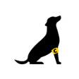 程序图标：Cappitan: Rescate  Adopci…