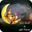 Icoon van programma: Guten Abend Gute Nacht Bi…
