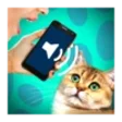 ไอคอนของโปรแกรม: Cat Voice Translator
