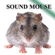程序图标：Rat mice