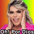 Иконка программы: WAStickers - Wendy Guevar…