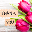 ไอคอนของโปรแกรม: Thank You Sticker for Wha…