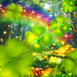 Rainbow Forest Riches