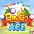 程序图标：Bingo Ace - Jogos de Bing…