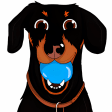 CrusoeMoji - Celebrity Dachshund Wiener Dog Emojis