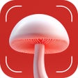 프로그램 아이콘: Mushroom Identification: …