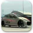 Icône du programme : Peugeot 207 RCup