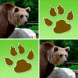 Иконка программы: Wild Animals Memory Game