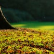 程序图标：WooCommerce Variation Det…
