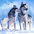 Icon of program: Arctic Wolf Sim 3D
