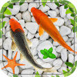 プログラムのアイコン：Fish Live wallpaper 2021 …