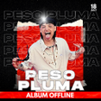 程序图标：Music Peso Pluma HitsOffl…