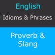 Icon of program: English - Idioms And Phrases