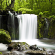 Ikon program: Relax Forest - Nature sou…