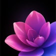 Icon of program: Euforia: Voice that Loves…