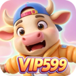 프로그램 아이콘: vip599Echo