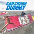 프로그램 아이콘: Car Crash Dummy