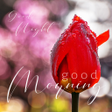 プログラムのアイコン：Good Morning