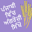 程序图标：Learn English In Punjabi