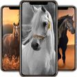 Icon of program: Horse Wallpapers