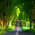 Icon of program: Nature Wallpaper HD New T…