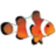 プログラムのアイコン：Clownfish for Teamspeak