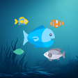 Ikon program: Get Big: Fish Survival Ga…