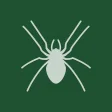 Solitaire  Spider
