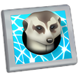 프로그램 아이콘: Meerkat