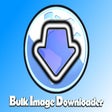 Ícone do programa: Bulk Image Downloader