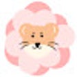 ไอคอนของโปรแกรม: 벚꽃의 사자