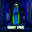 Spider Granny : Hide And Escap icon