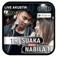 Icon of program: Tri Suaka ft Nabila Mp3 O…
