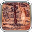 プログラムのアイコン：Adam and Eve