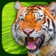 Ícone do programa: Virtual Reality Animals