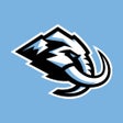 程序图标：Utah Hockey Club