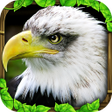 أيقونة البرنامج: Eagle Simulator