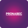 プログラムのアイコン：PRONABEC