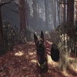 Icon of program: Blair Witch VR