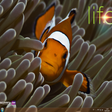 Symbol des Programms: Discovery Channel LIFE Th…