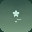 Icoon van programma: Driproot  Zen Water Puzzl…