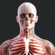 Ícone do programa: Human Anatomy 4D-Mixed Re…
